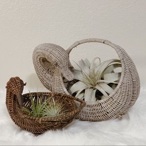 Wicker/Rattan Duck Basket, Air Plant Holder